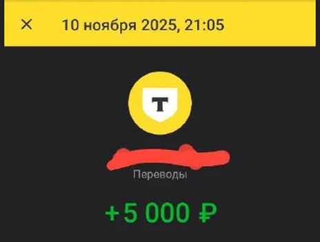 Скрин оплаты: +5 000 ₽, 10 ноября 2025