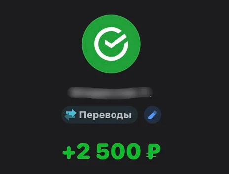 Скрин оплаты: +2 500 ₽