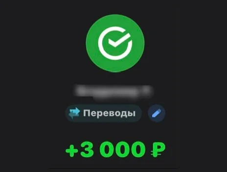 Скрин оплаты: +3 000 ₽