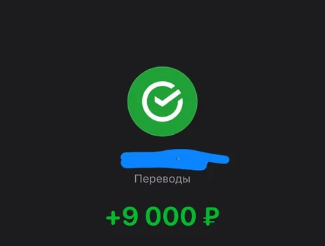 Скрин оплаты: +9 000 ₽