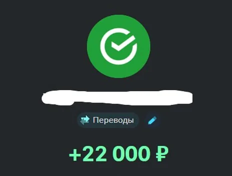 Скрин оплаты: +22 000 ₽