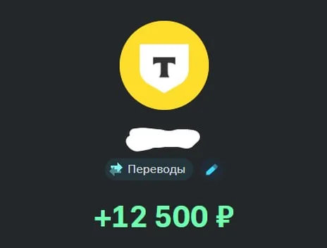 Скрин оплаты: +12 500 ₽